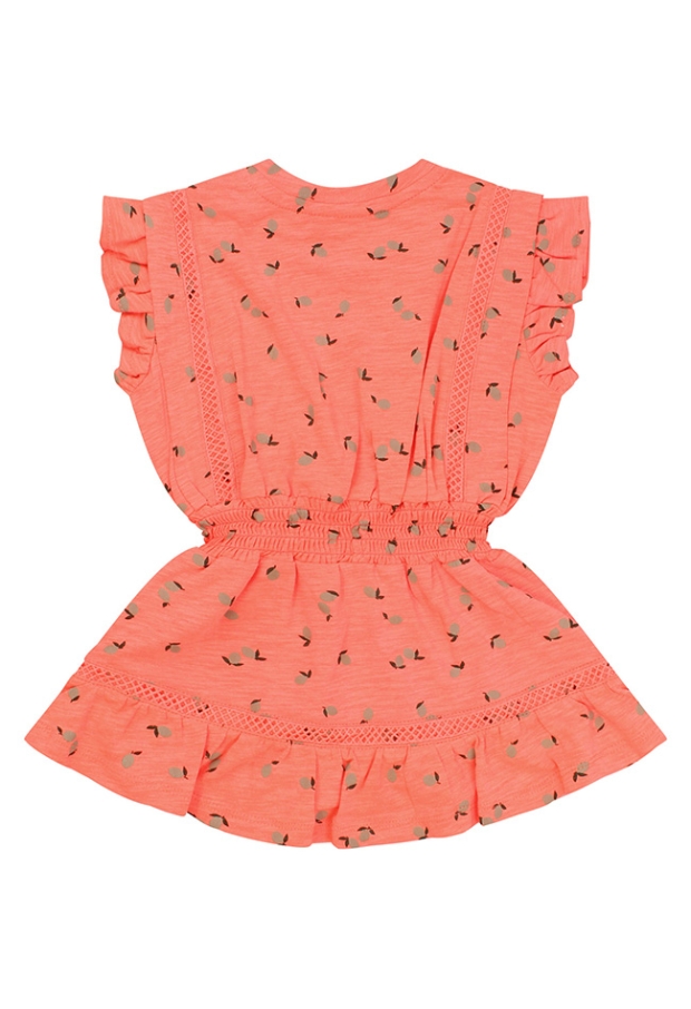 Z10158/3215702 FEL KORAAL 