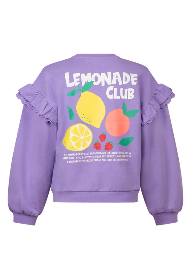 Z10011/3210402 violet 