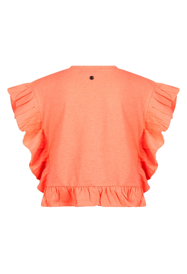 Z10028/3210608 FEL KORAAL 