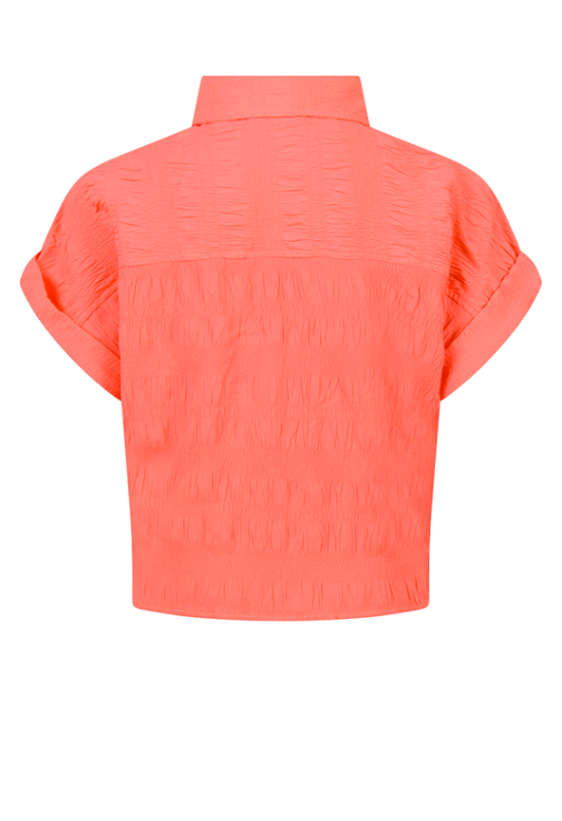 Z10082/3210503 FEL KORAAL 