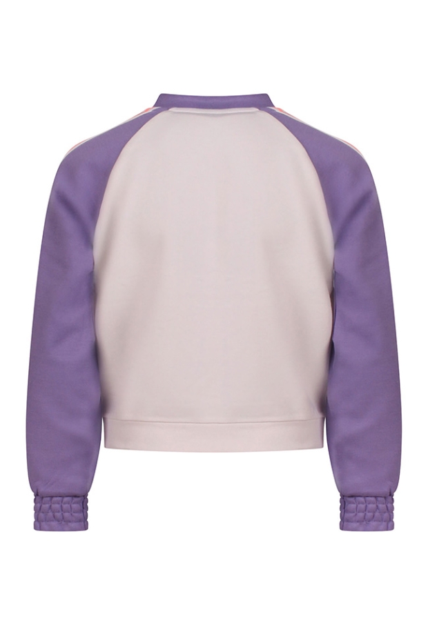 Z10089/3210404 violet 
