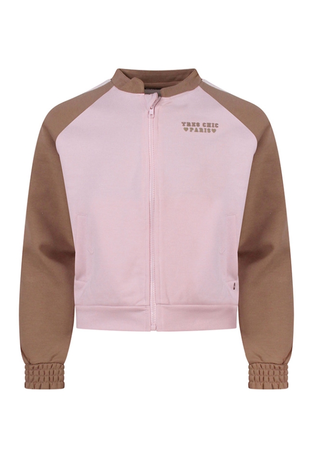 Z10089/3210404 taupe 