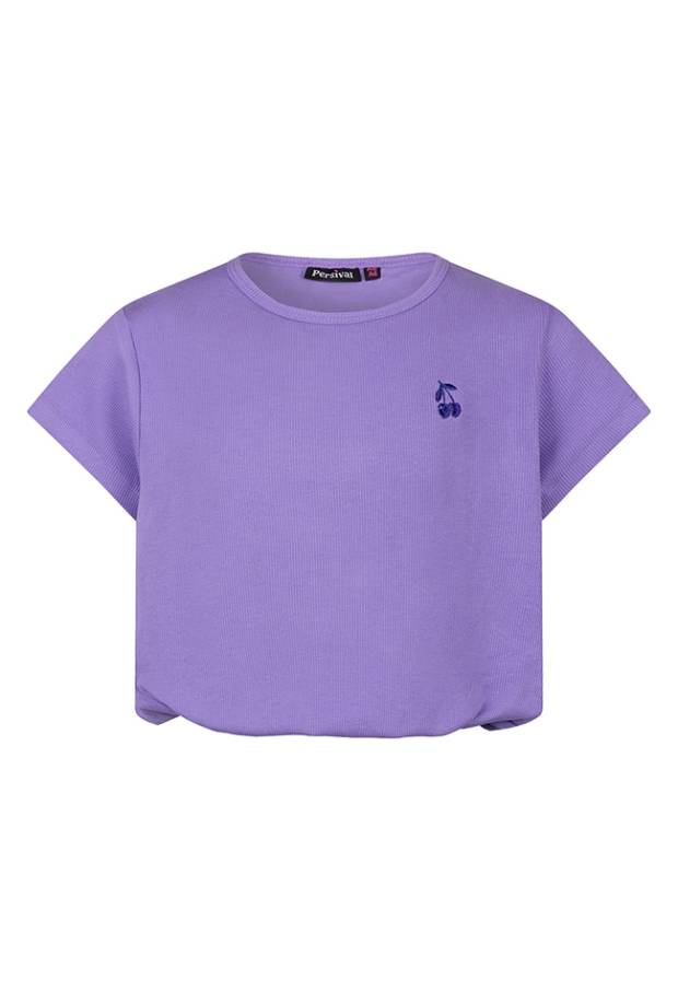 Z10093/3210617 violet 