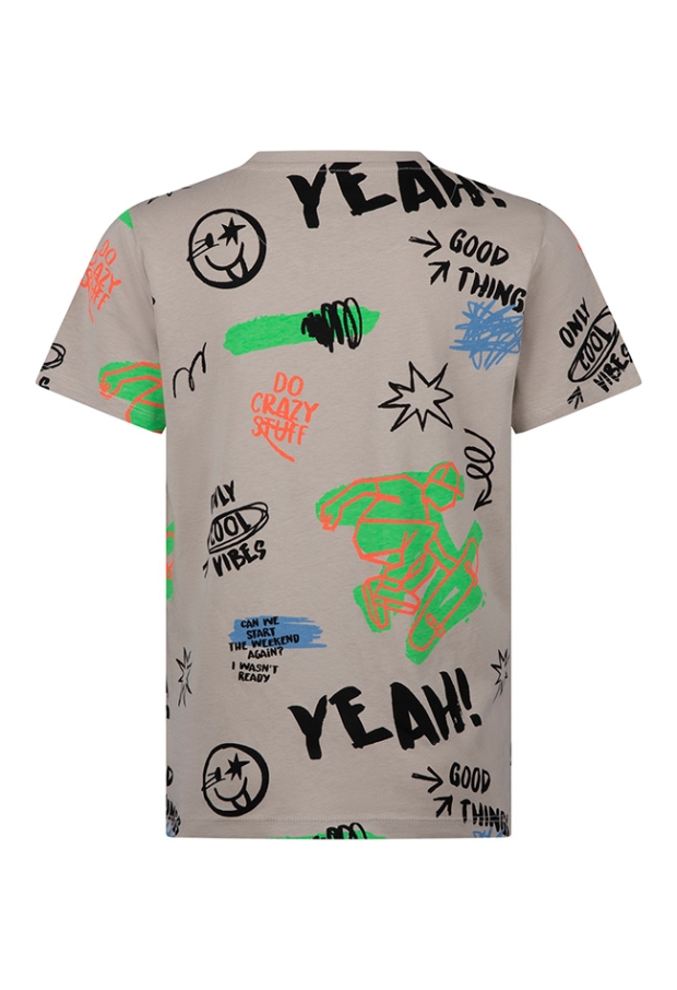 Z10248/3217600 licht grijs 