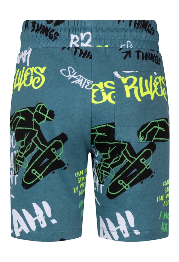 Z10250/3217200 petrol 