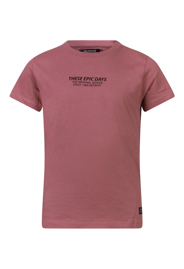 Z10251/3217601 prune 