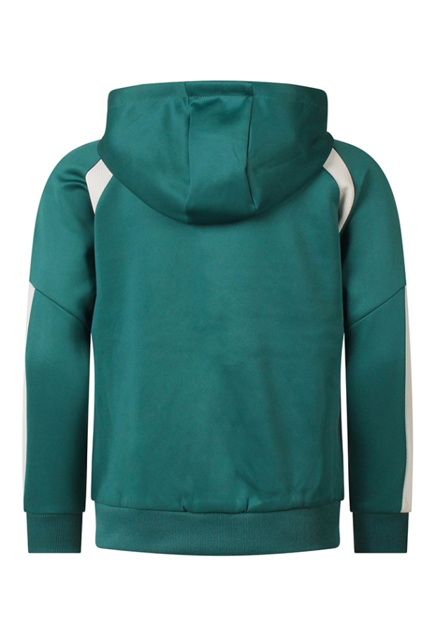 Z10271/3217403 DONKER GROEN