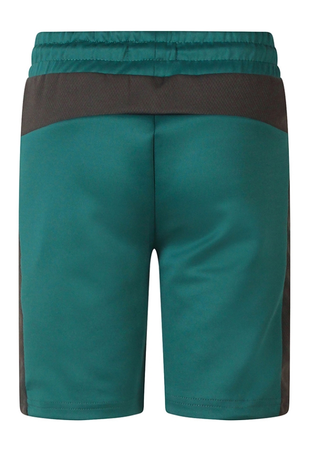 Z10272/3217203 DONKER GROEN 