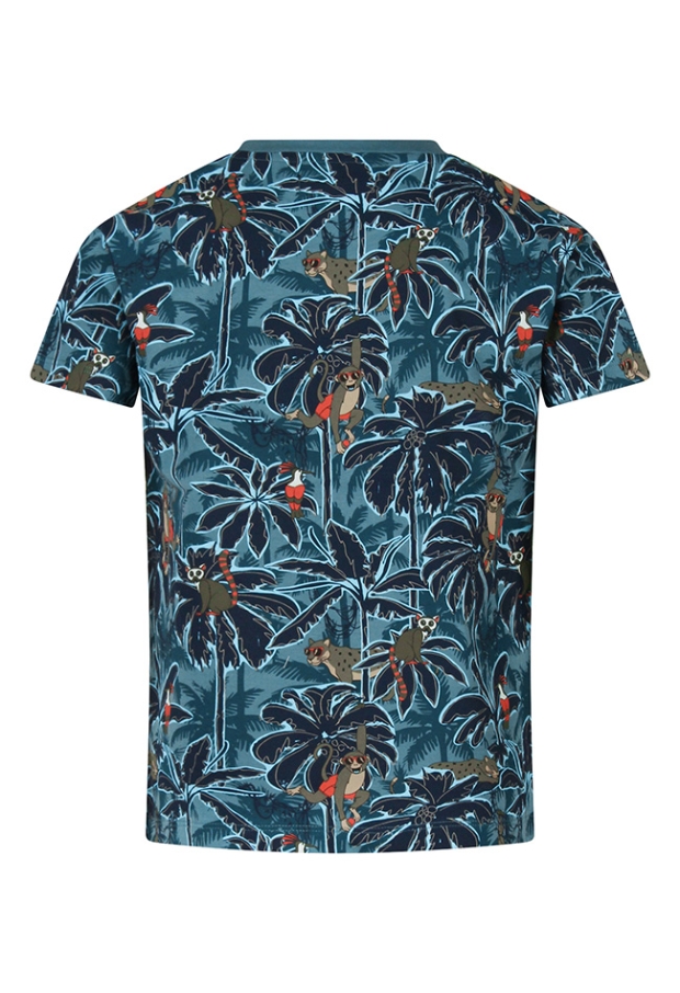 Z10274/3217617 petrol 