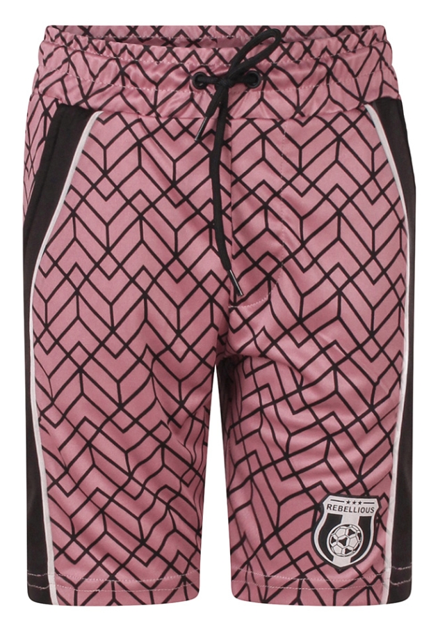 Z10278/3217206 prune 