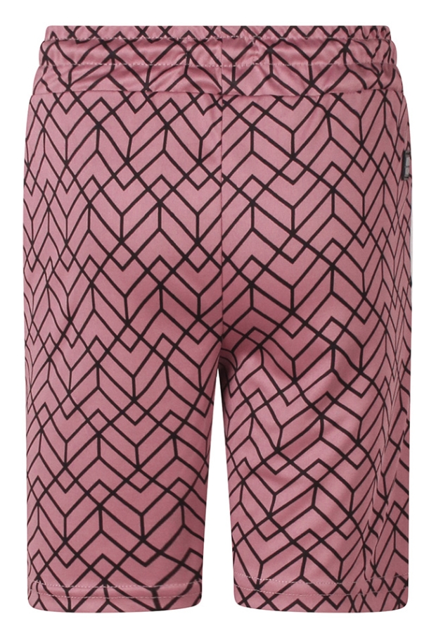 Z10278/3217206 prune 