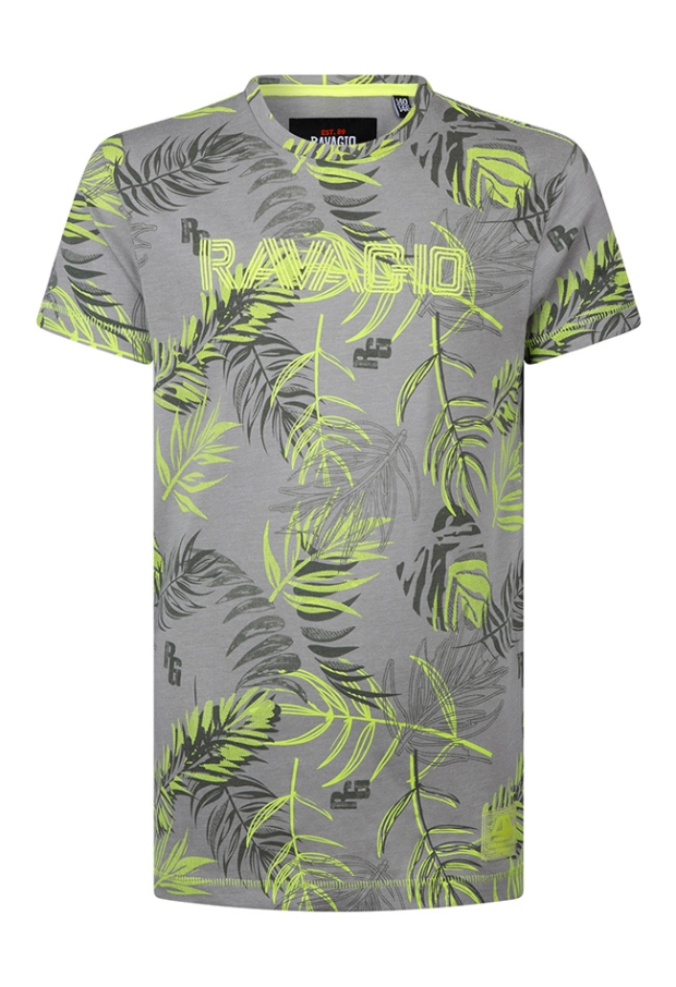 Z10237/Anslow licht grijs 