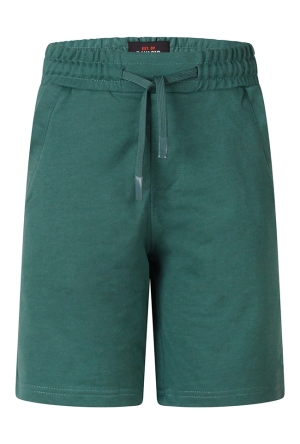 Ravagio Z10303/Anwar Jade  teal green