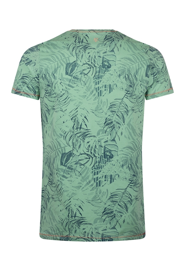 Z10383/Anslow men groen
