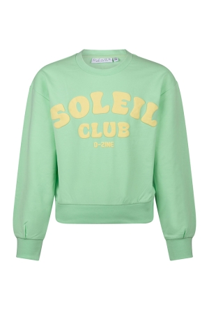 D-zine Z10422/Anneleen LICHT GROEN  green ash