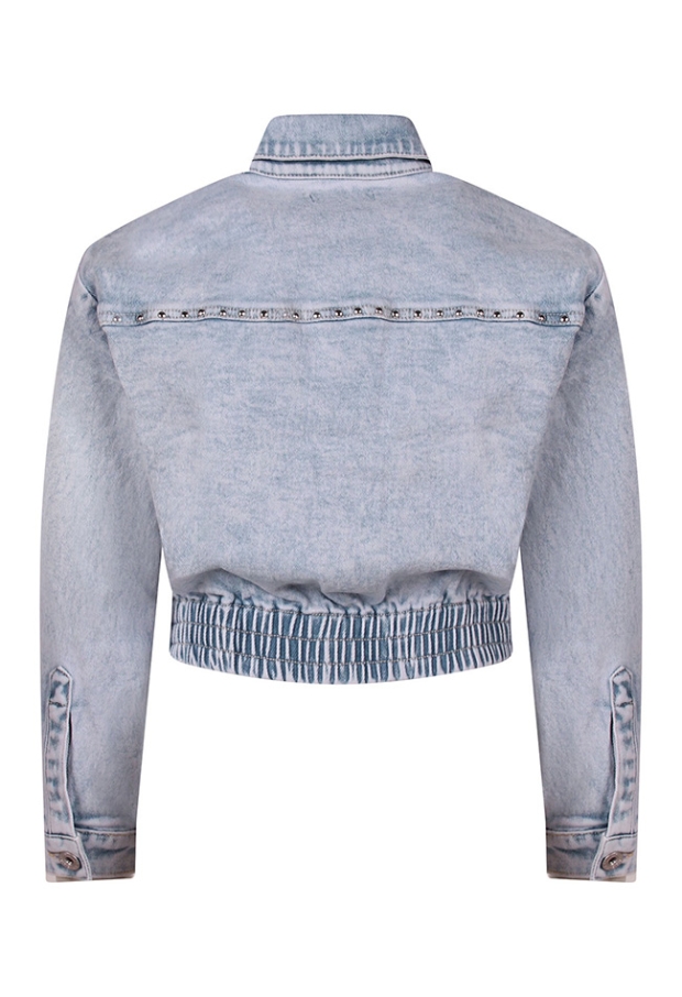 Z10058/Aster Bleached dnm 