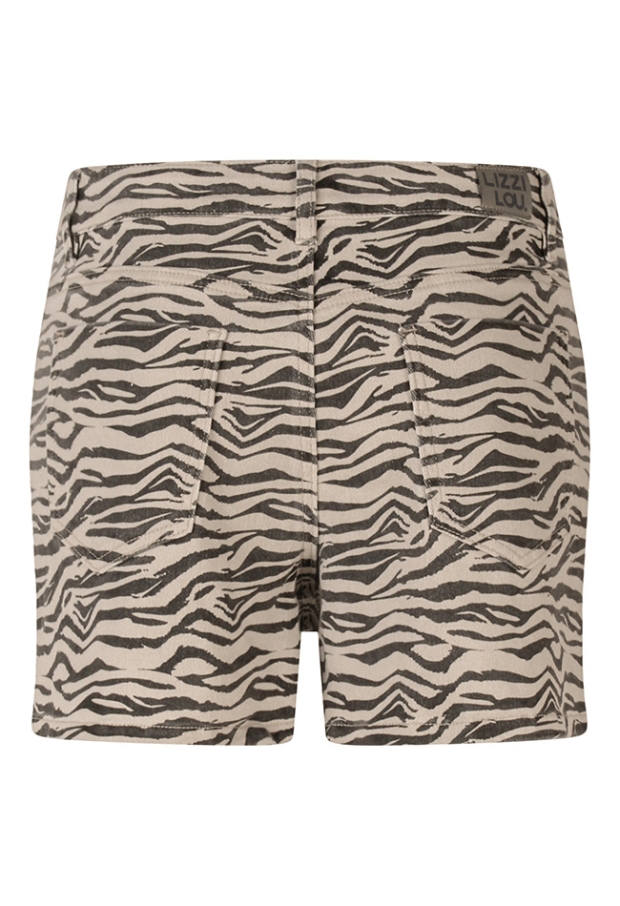 Z10064/Amira lds KIT 