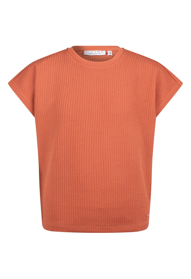 Z10180/Agnetha terra 