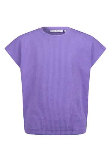 D-zine Z10180/Agnetha DONKER LILA  dahlia purple