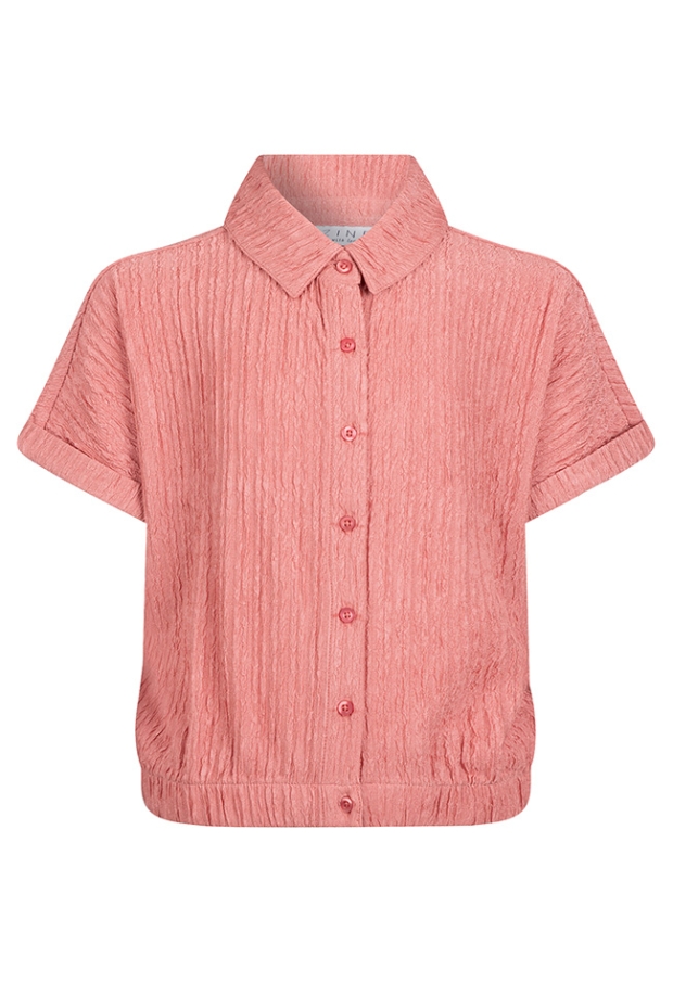 Z10184/Asima OUD ROSE 