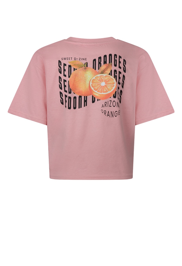 Z10196/Abina LICHT ROSE 