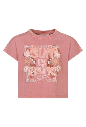 D-zine Z10202/Asente OUD ROSE  old pink