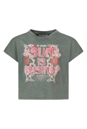 D-zine Z10202/Asente ARMY  army