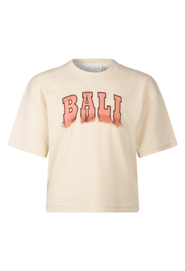 D-zine Z10204/Aagje KIT  kit