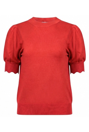 Lizzi Lou Z10482/Tinny ROOD  poinsetta