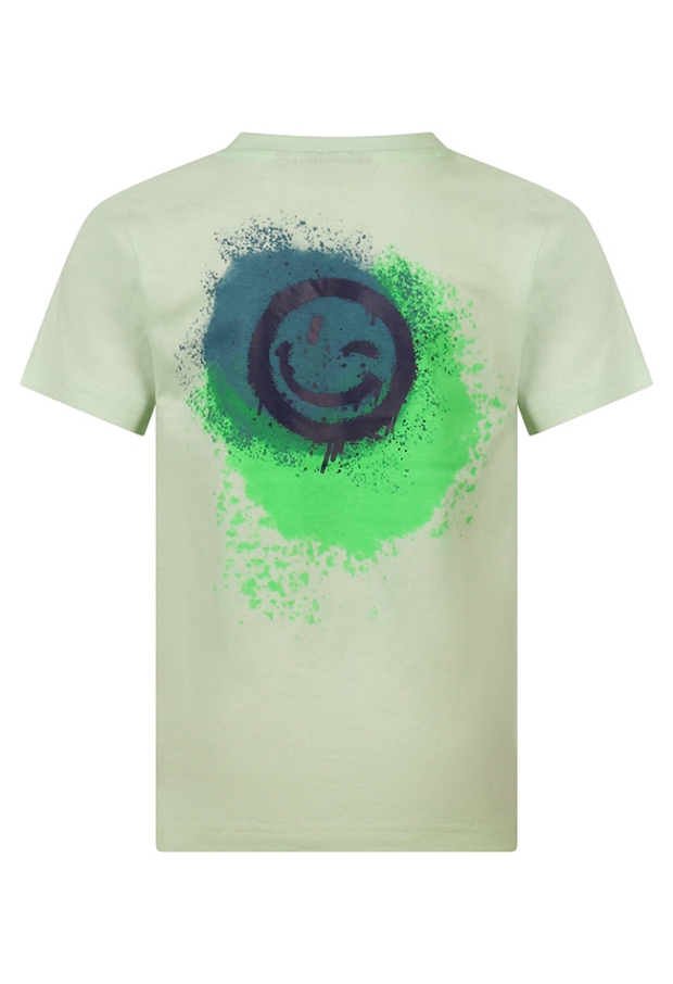 Z10567/534174 Pastel Groen 