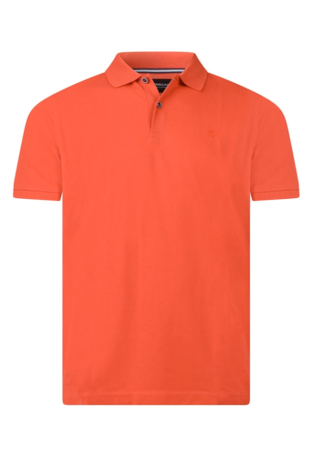 Z10607/7623200M koraal 