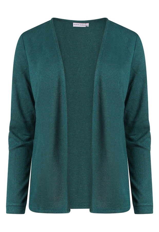 Z10616/213826 petrol 