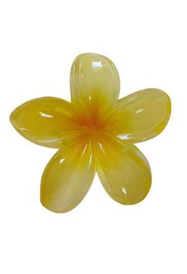 Private label Private label