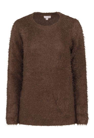 Citylife Dames Truien bruin W20464/LW00347 Citylife Dames Truien bruin W20464/LW00347