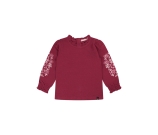 Kleur rood