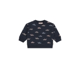 Kleur blauw