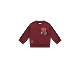 Kleur rood