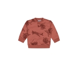 Kleur rood