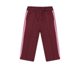 Kleur rood