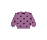 Kleur paars