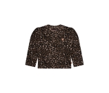 Kleur bruin