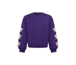 Kleur paars