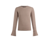 Kleur bruin