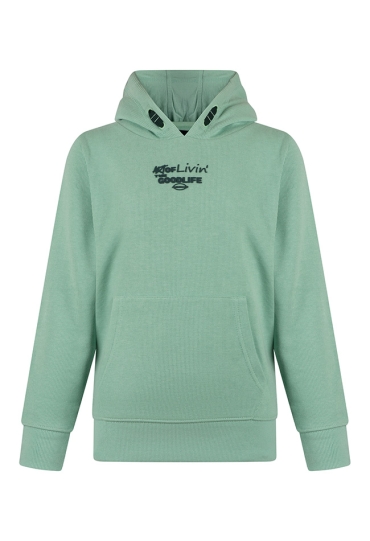 Ravagio Jongens Sweaters groen W20210/Bas Ravagio Jongens Sweaters groen W20210/Bas