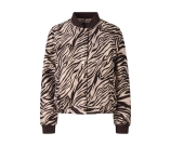 Kleur bruin