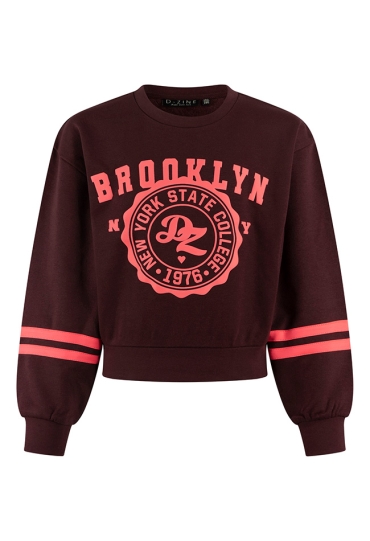 D-zine Dames Sweaters rood W20127/Belinay D-zine Dames Sweaters rood W20127/Belinay
