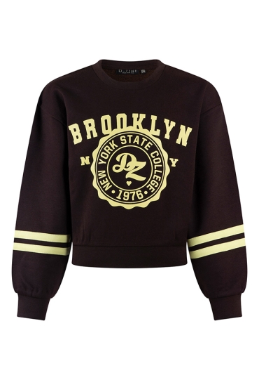 D-zine Dames Sweaters bruin W20127/Belinay D-zine Dames Sweaters bruin W20127/Belinay