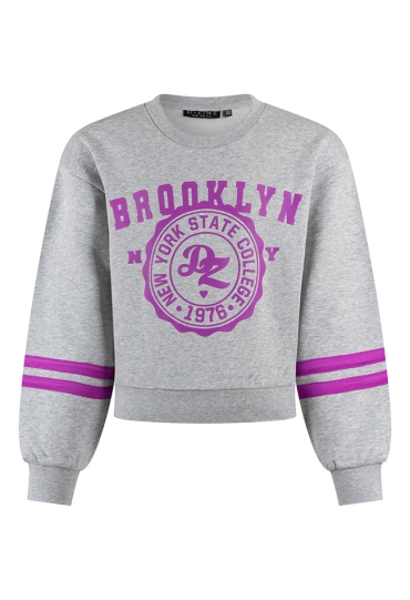 D-zine Dames Sweaters grijs W20127/Belinay D-zine Dames Sweaters grijs W20127/Belinay