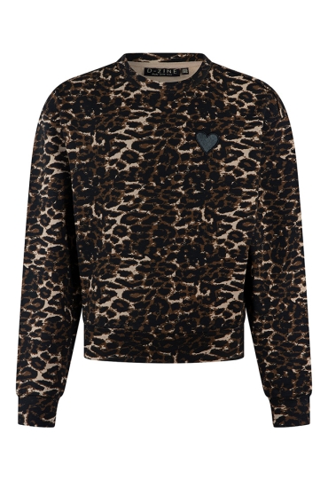 D-zine Meisjes Sweaters bruin W20138/Bernice D-zine Meisjes Sweaters bruin W20138/Bernice