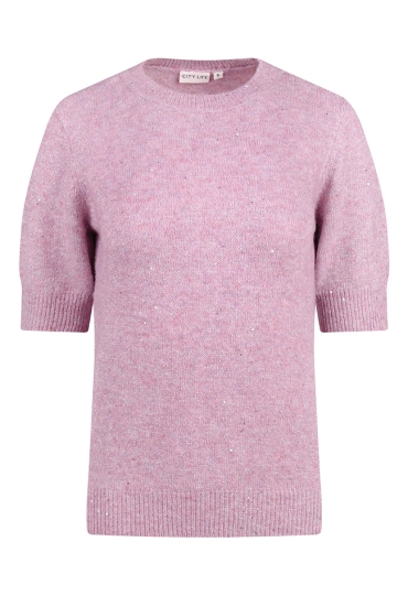 Citylife Dames Truien paars W20428/304662 Citylife Dames Truien paars W20428/304662